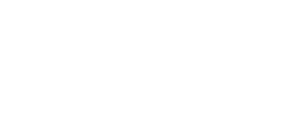 Software Logo InsERT